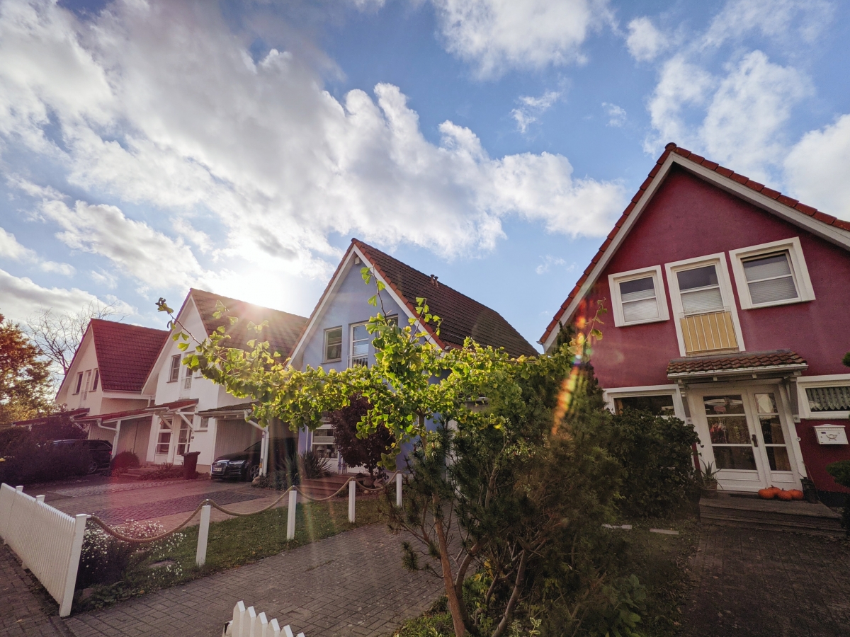 green trees with red and white houses under a blue sky
